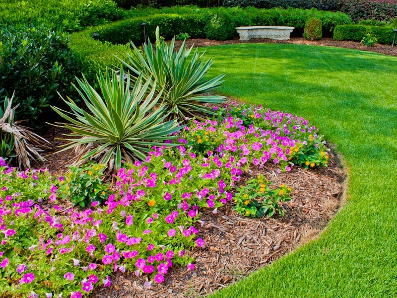 GARDENING