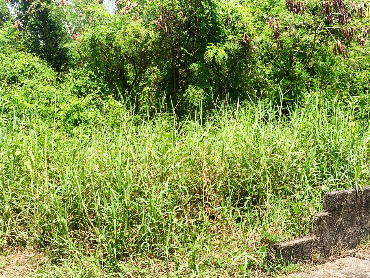 The Demarcated Land can be used for Industry