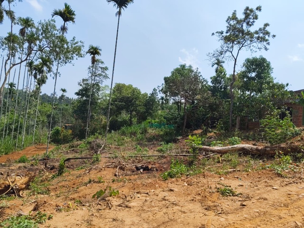 Scenic Plot for Sale Near Irulam Town, Wayanad