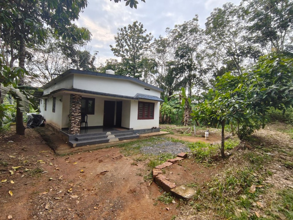 3 BHK House for Sale in Meenangadi, Wayanad