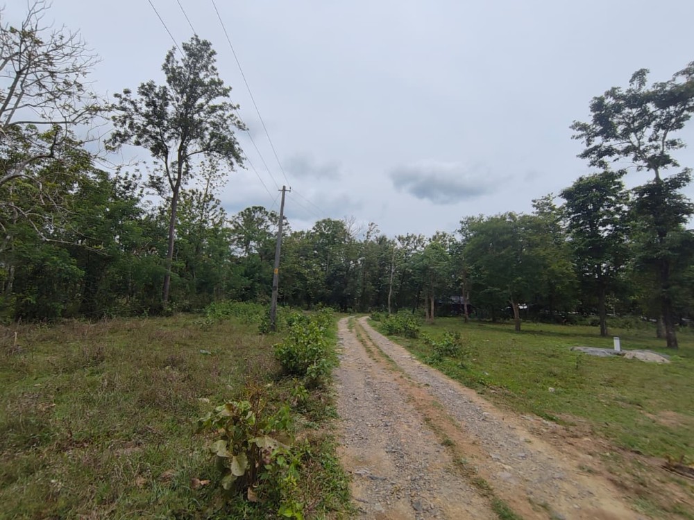 Prime Scenic Land for Sale in Mavilamthodu, Pulpally, Wayanad 