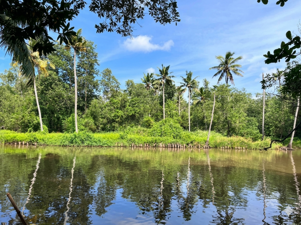 Premium Riverside Property for Sale in Poovar, Trivandrum