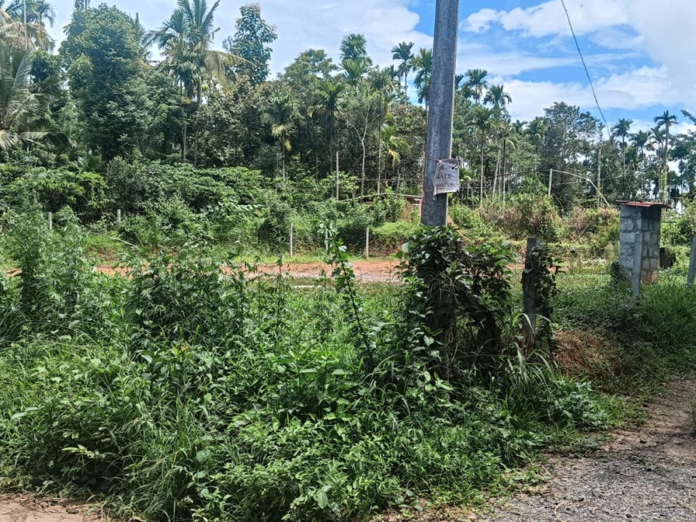 House Plot for Sale Near State Highway, Karani, Wayanad