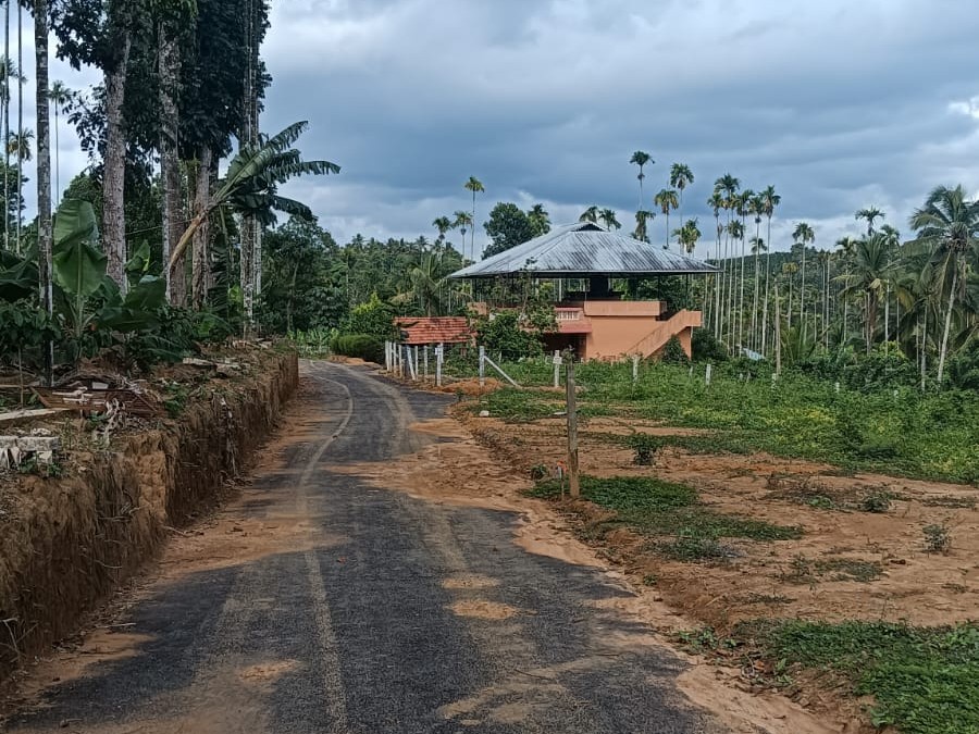 Land for Sale in Meenangadi, Wayanad