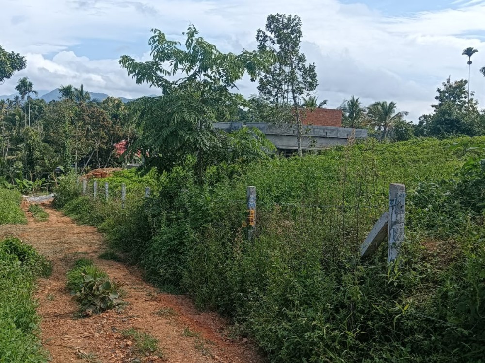 Residential Land for Sale in Meenangadi Wayanad