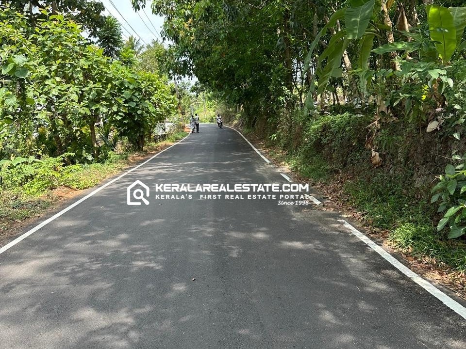 RUBBER PLANTATION LAND FOR SALE IN ANGAMALY, ERNAKULAM