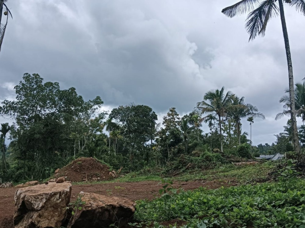 36 Cents of House Plot for Sale in Varadoor, Wayanad 