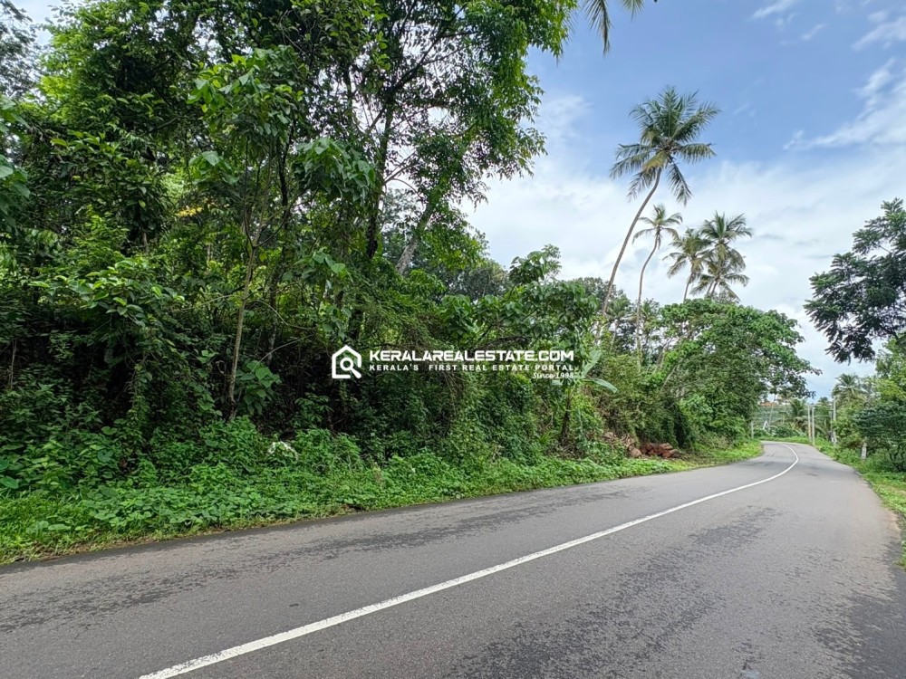 ROADSIDE LAND FOR SALE IN KANAKKARY, VEMPALLY, KOTTAYAM
