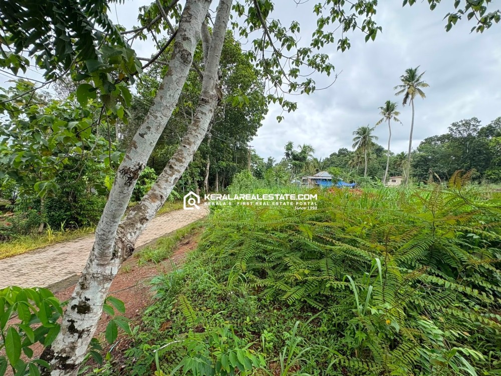 PRIME LAND FOR SALE IN KANAKKARY, ETTUMANOOR, KOTTAYAM