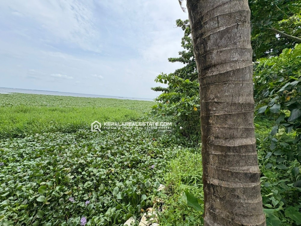 7 ACRE PREMIUM WATERFRONT PROPERTY FOR SALE IN KUMARAKOM, KOTTAYAM