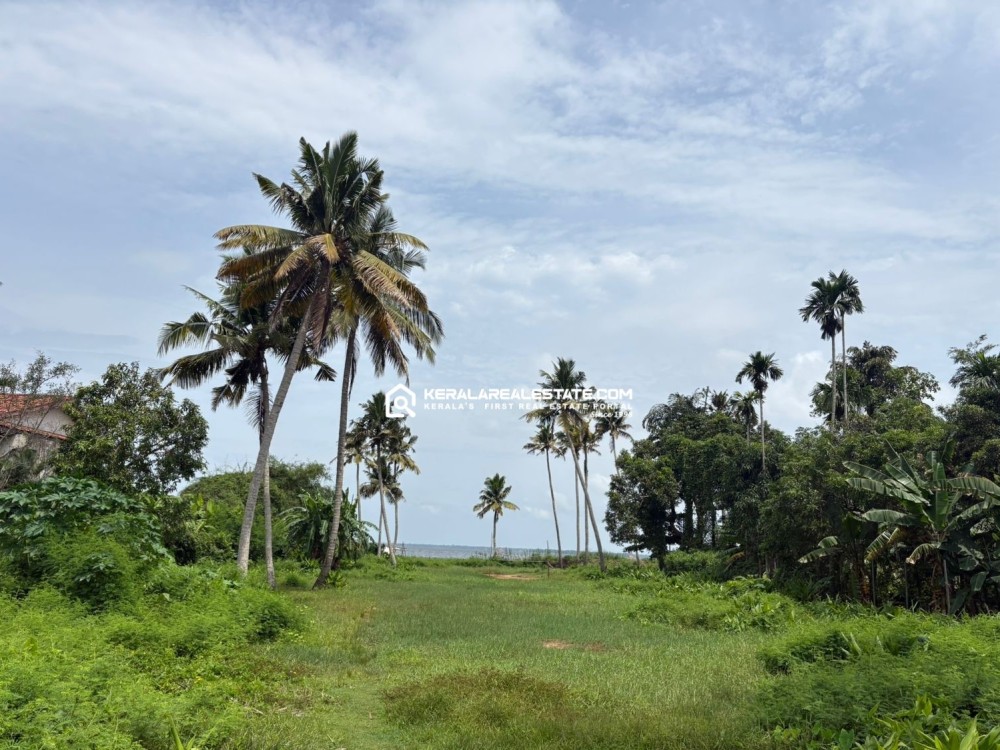 PREMIUM BACKWATER SIDE PLOT FOR SALE IN KUMARAKOM, KOTTAYAM