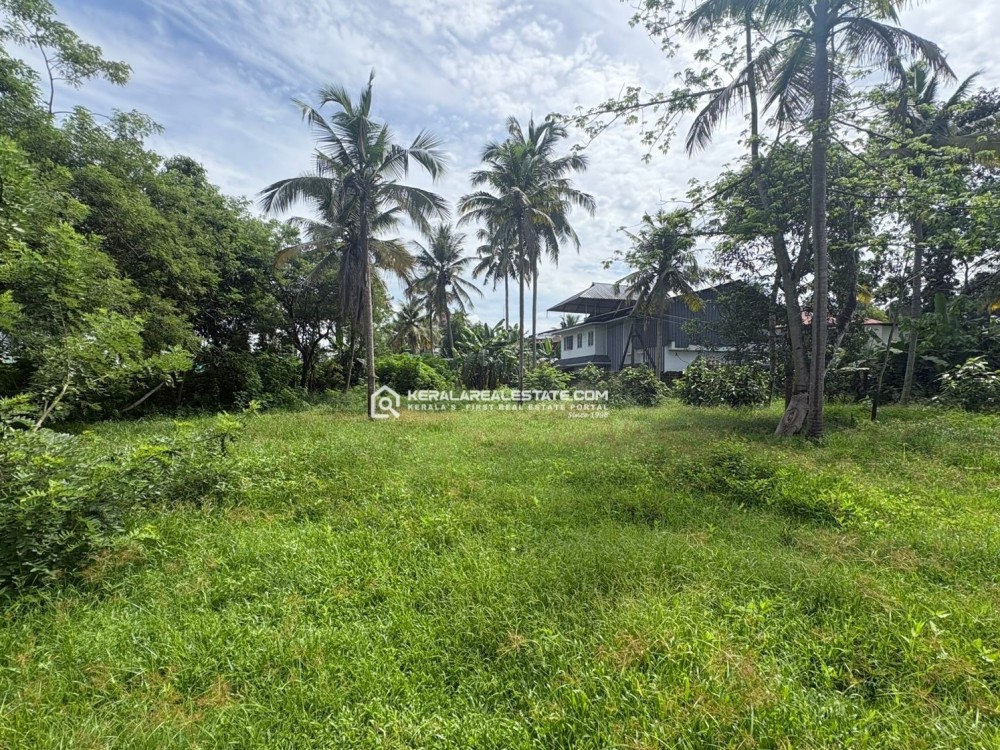 PREMIUM MC ROAD SIDE PROPERTY FOR SALE IN KUMARANALLOOR, KOTTAYAM