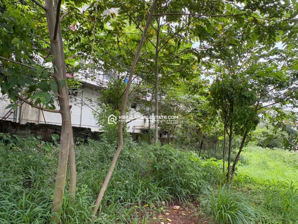 PRIME LAND FOR SALE IN PADAMUGAL, ERNAKULAM