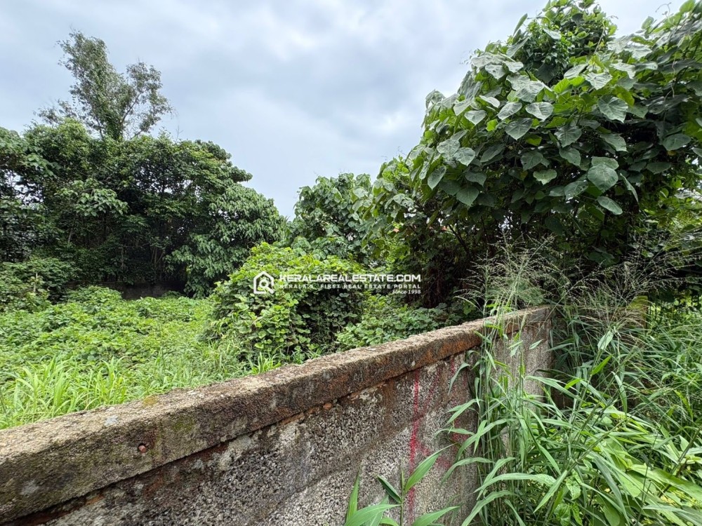 PREMIUM LAND FOR SALE IN KAKKANAD, ERNAKULAM
