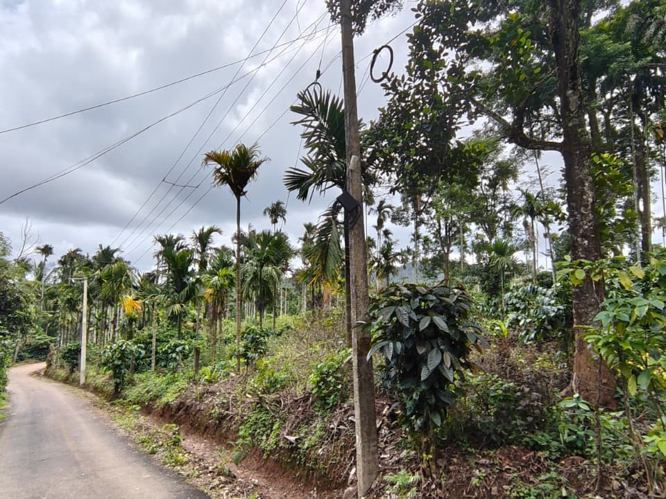  Agriculture Land for Sale in 6th Mile, Chethalayam, Wayanad