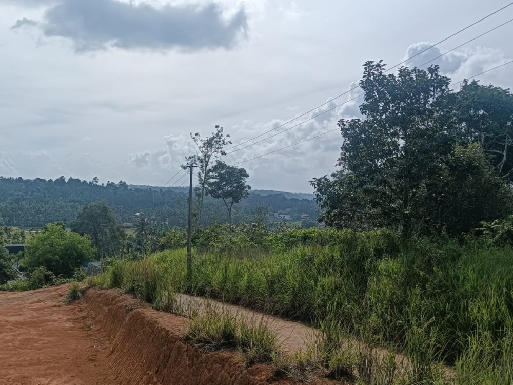 Residential Land for Sale in Panamaram, Wayanad 