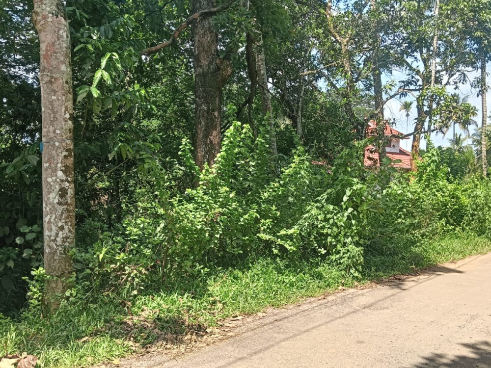 25 Cent Premium Residential Plot for Sale in Varadoor, Karani, Wayanad 