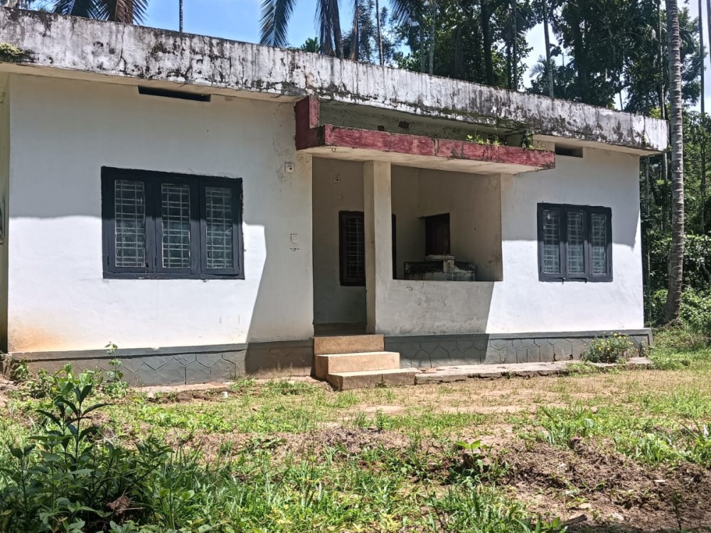 Land with 3 BHK House for Sale in Koodothummal, Karani, Wayanad 