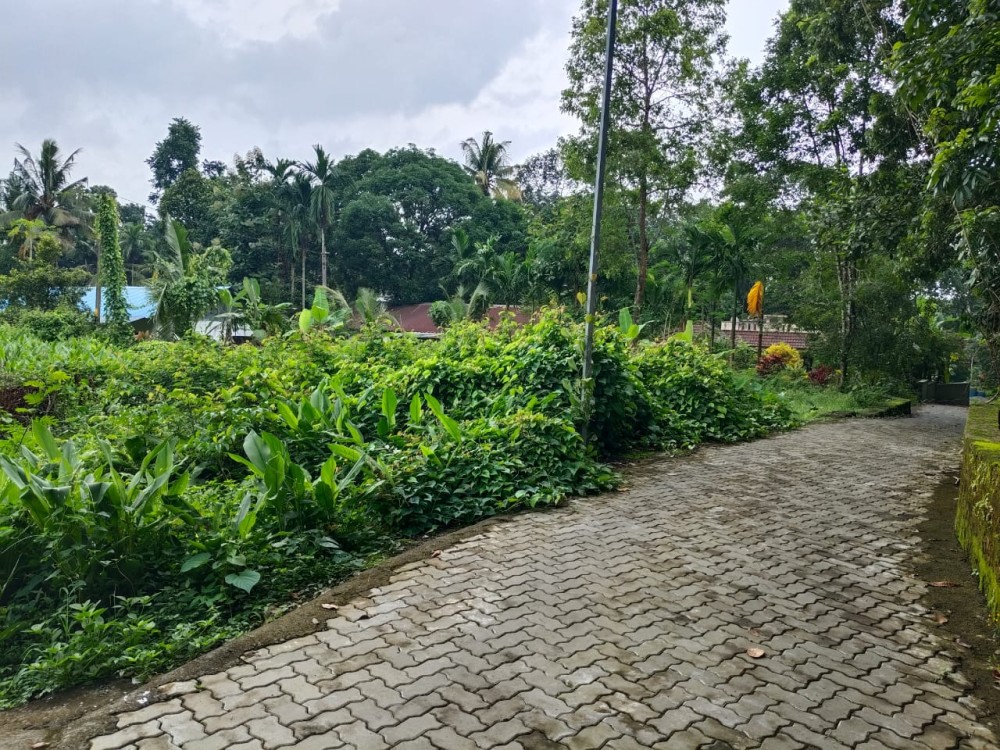  PRIME RESIDENTIAL LAND FOR SALE IN KIZHAKKAMBALAM, ERNAKULAM