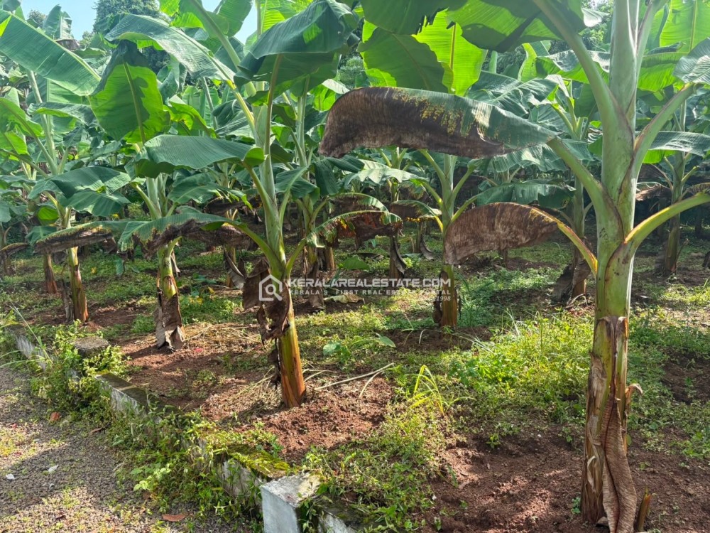 LAND FOR SALE IN KOLLAD, KOTTAYAM