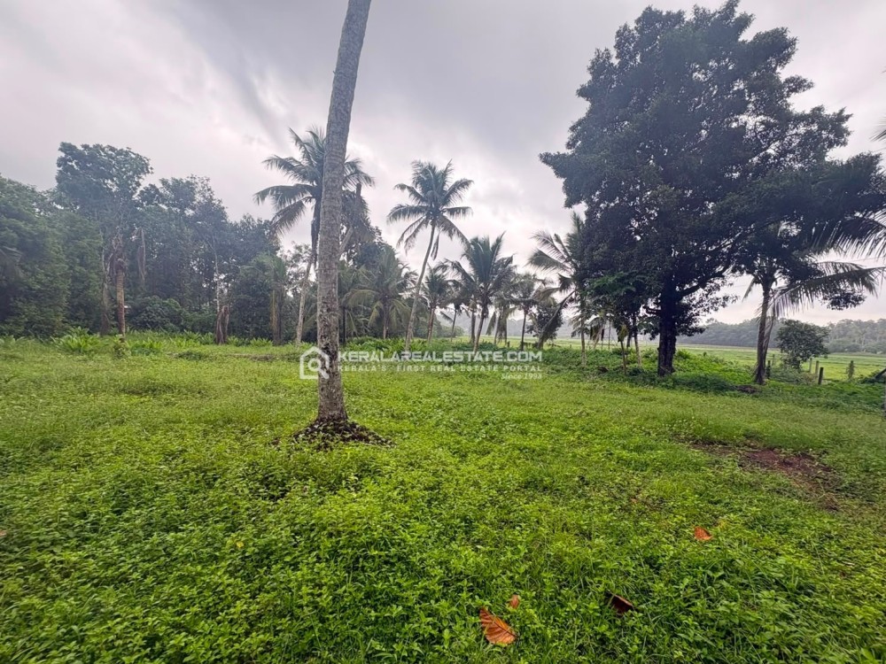 LAND FOR SALE IN MADAPPAD, ETTUMANOOR, KOTTAYAM
