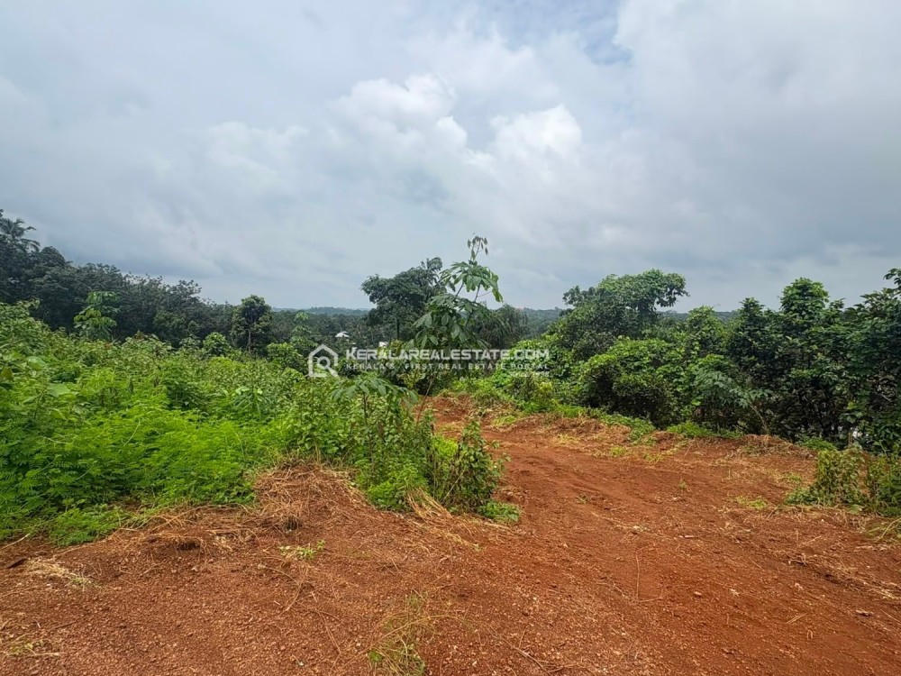 LAND FOR SALE IN ETTUMANOOR, KOTTAYAM