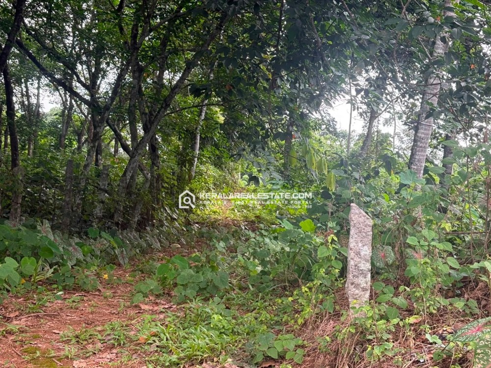 PRIME LAND FOR SALE NEAR ST. MARY'S COLLEGE, MANARCAD, KOTTAYAM