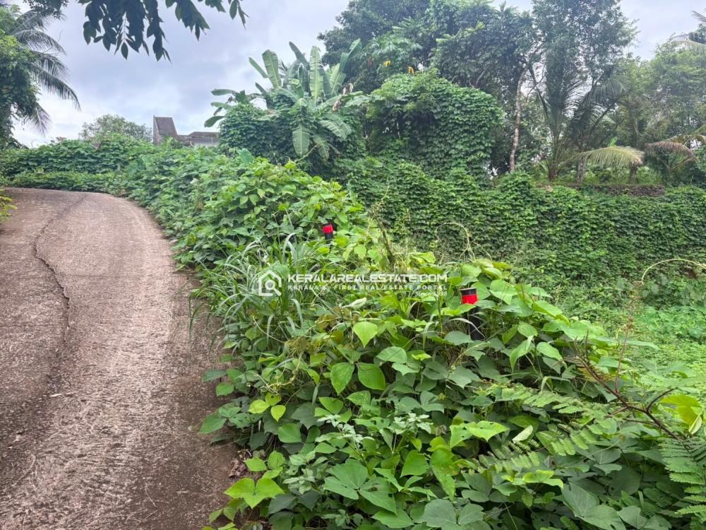 LAND FOR SALE NEAR ST. MARY'S COLLEGE, MANARCAD, KOTTAYAM