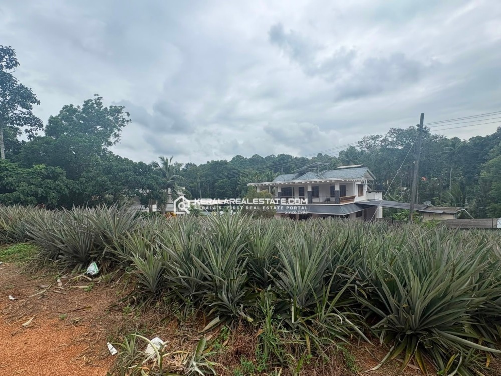 PREMIUM LAND FOR SALE IN ANNADIVAYAL, MANARCAD, KOTTAYAM