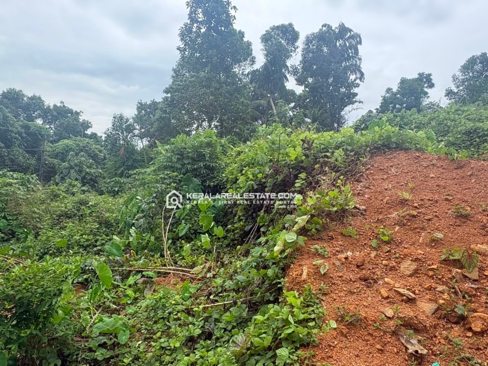 LAND FOR SALE IN MANARCAD ,KOTTAYAM