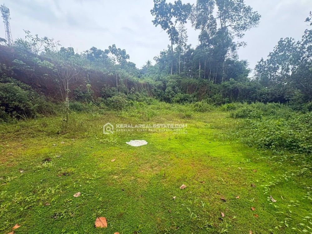 LAND FOR SALE IN THALAPPADY, MANARCAD, KOTTAYAM