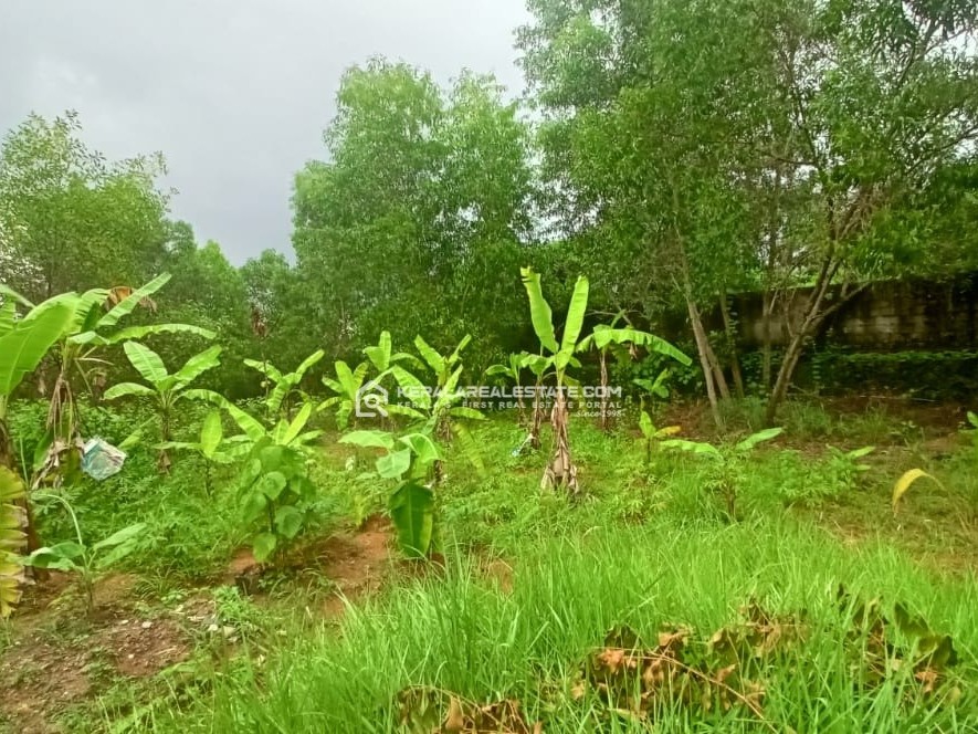 LAND FOR SALE IN MALIEKALPADY, ERNAKULAM