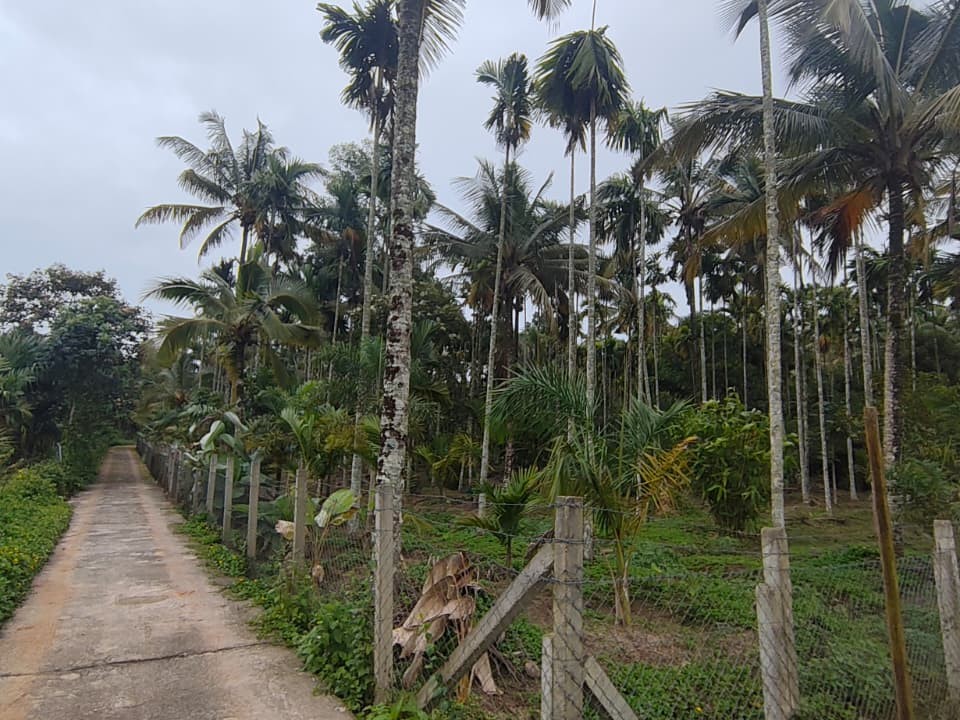 1.82 ACRE  RESORT LAND FOR SALE IN SULTHAN BATHERY, WAYANAD 