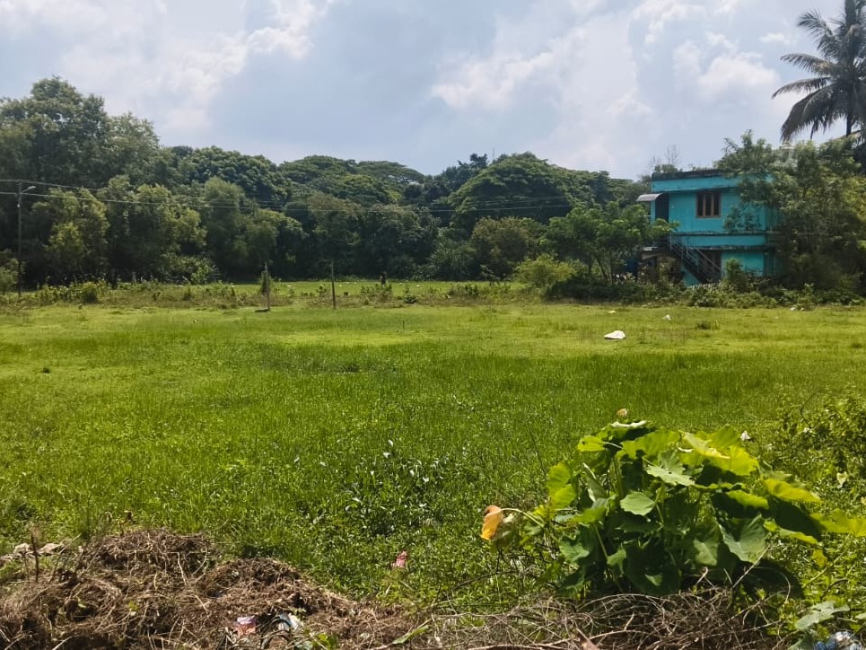 Square Plot for Sale in Kalamassery  kochi
