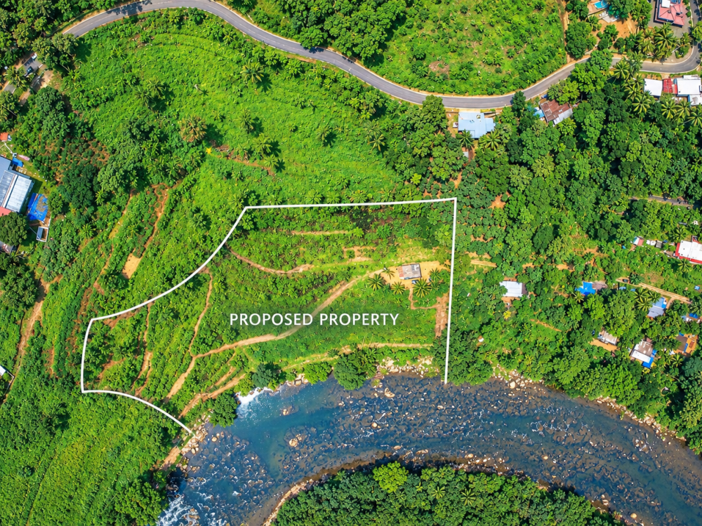 2.56 Acre Riverfront Plantation Property for Sale in Erumeli, Kanjirappilly, Kottayam 