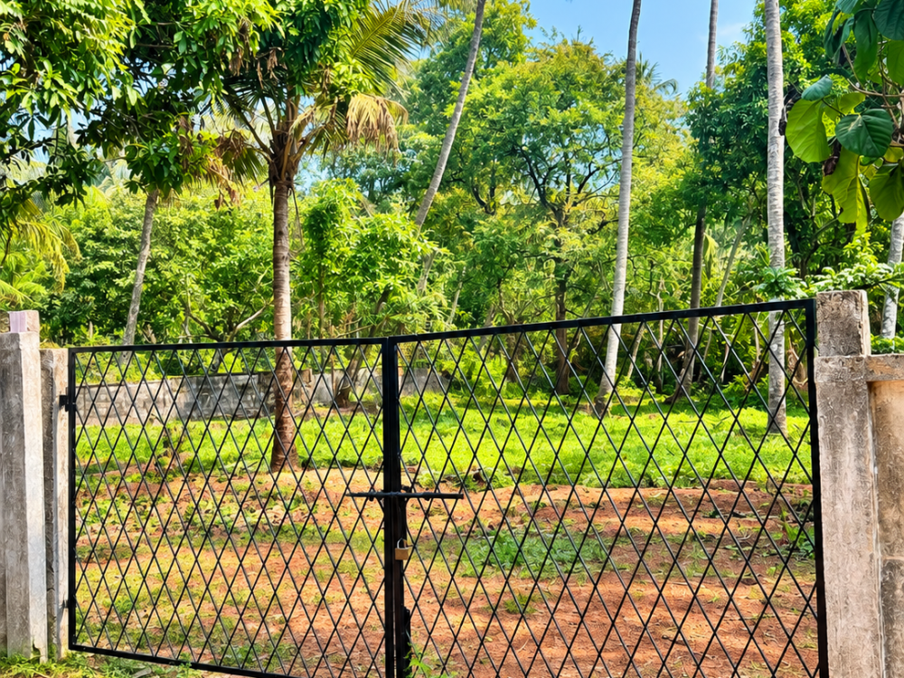 Land for Sale in Manalur, Thrissur 