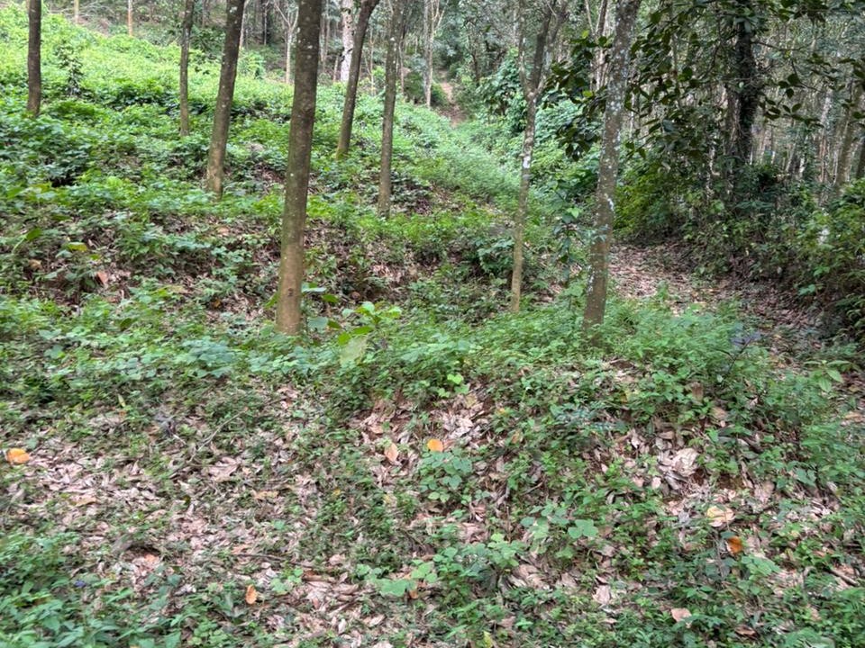 9 ACRE LAND FOR SALE IN PLACHERY, ERUMELY, KOTTAYAM