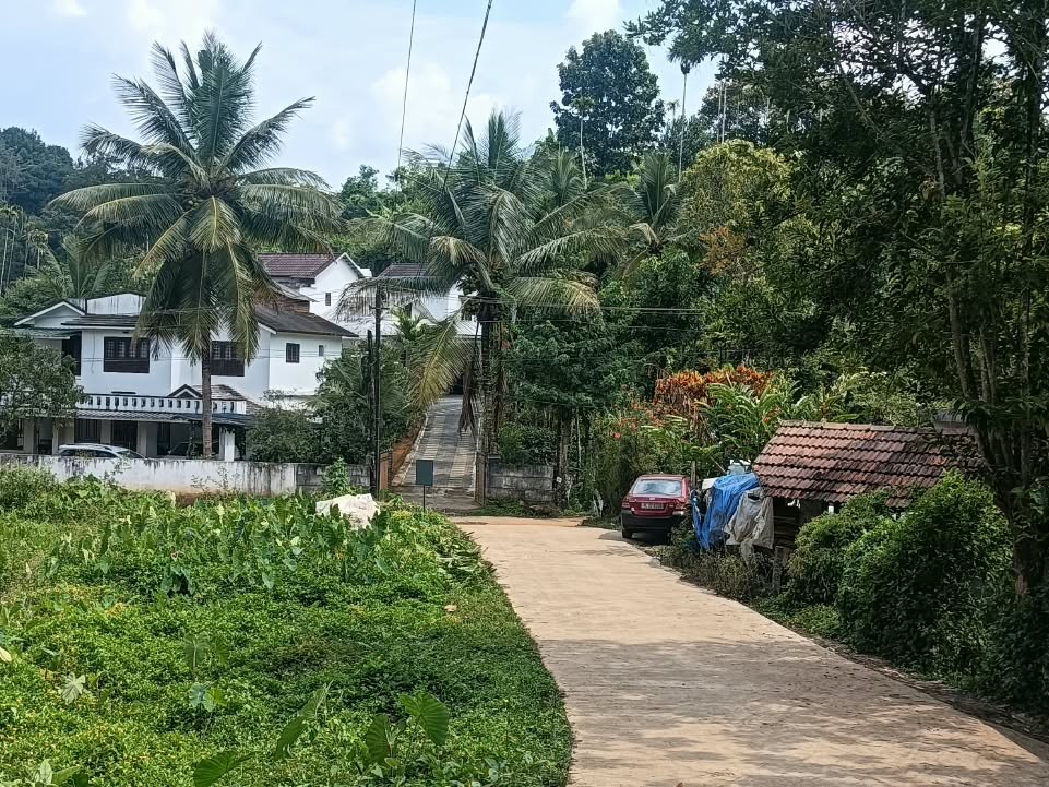 Residential Plot for Sale in Kalpetta, Wayanad