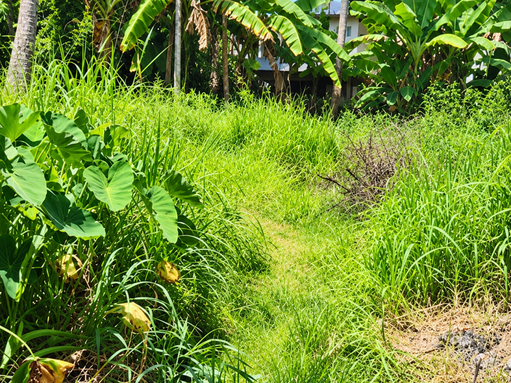 Land for Sale in Kalamassery, Ernakulam