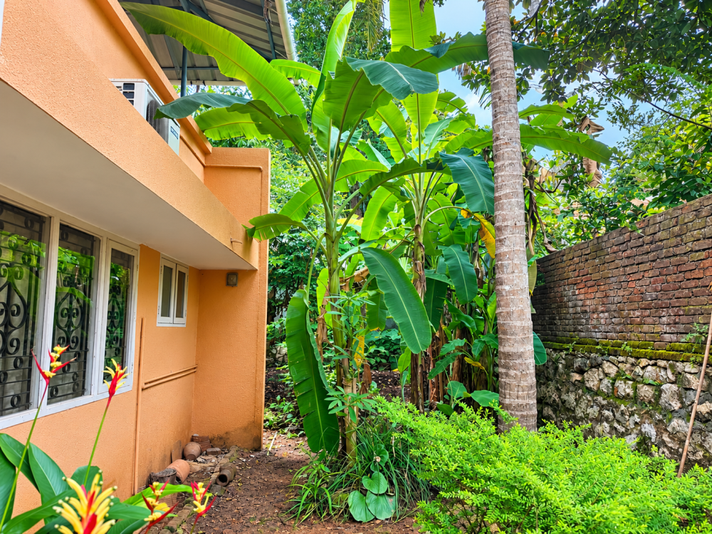 15 Cents Land with House for Sale in Kowdiar, Trivandrum