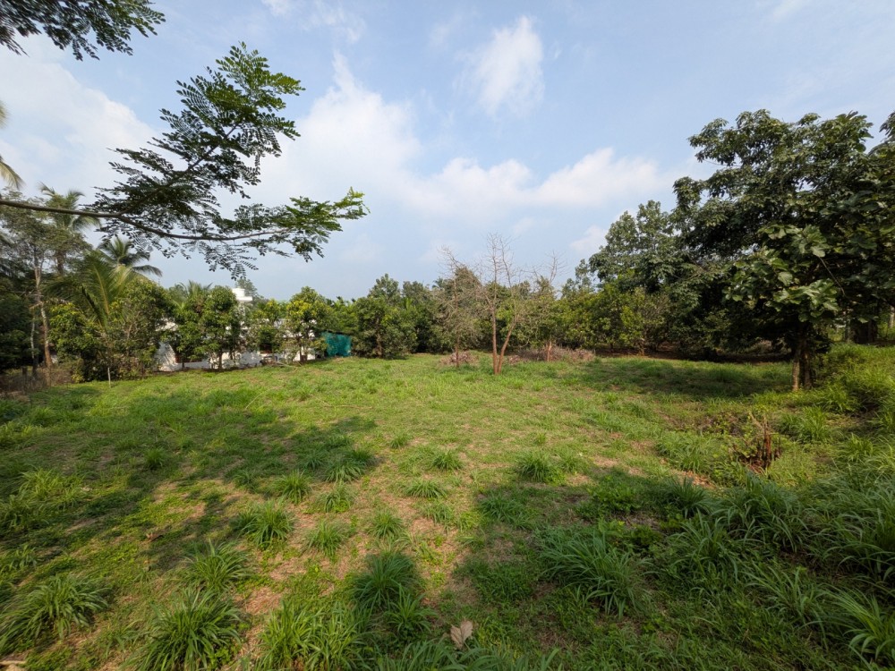 Plantation Estate with Two Farmhouses for Sale in Manalady, Attoor, Thrissur