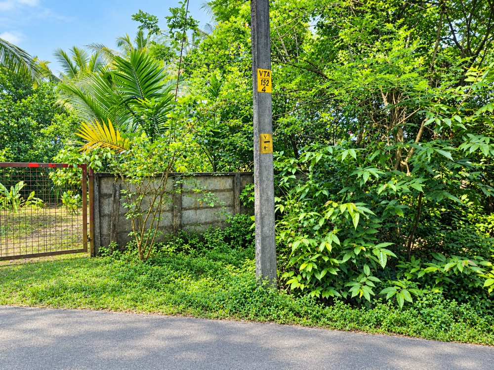 Prime Land for Sale in Koonammavu, Ernakulam 