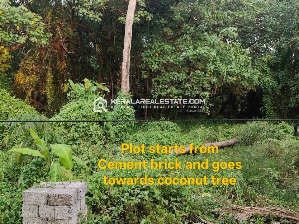 Residential Land for Sale in Vallarpadam, Ernakulam