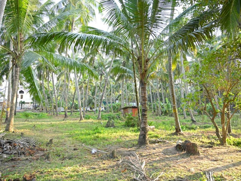25 Cents of Land for Sale at Pavaratty, Thrissur