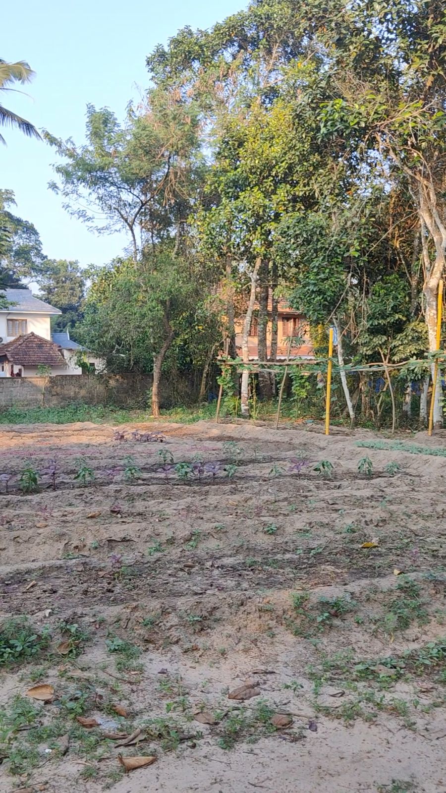 Land for Sale at Pattanakkad, Alappuzha