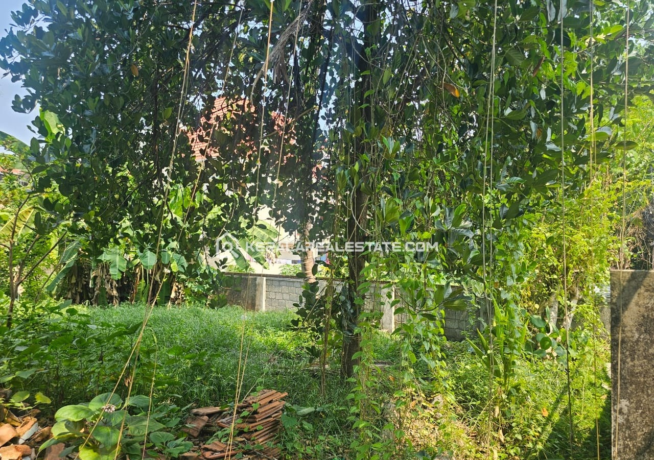 Plot for Sale at Palarivattom, Ernakulam
