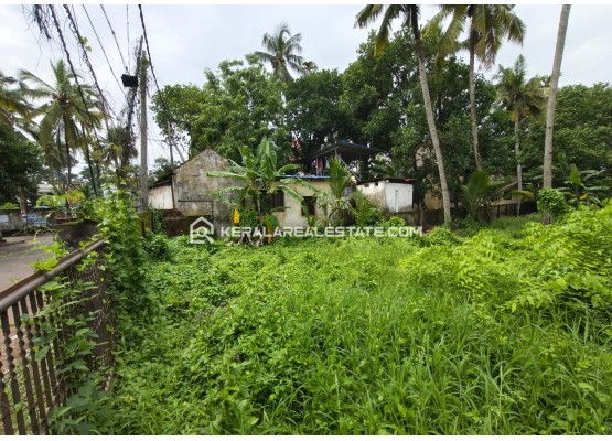Land for Sale in Ramankulangara, Kollam