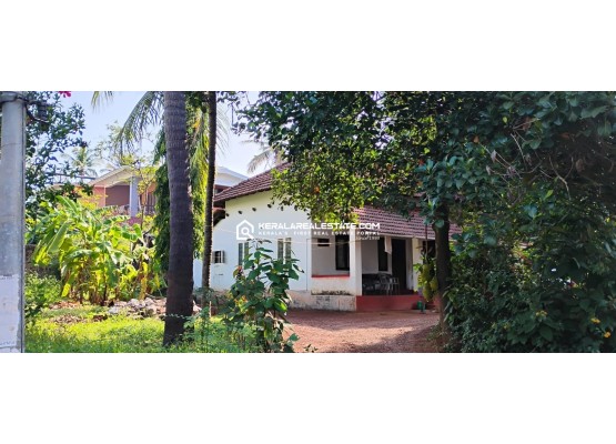 Land for Sale in Kannur Town