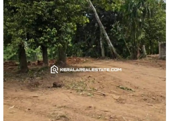 Prime Land for Sale Near Cochin Airport, Nedumbassery, Ernakulam