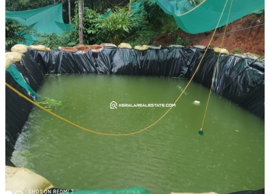 Land for Sale in Vagamon, Idukki
